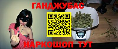 крисы Майкоп