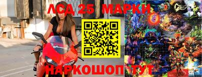 крисы Майкоп
