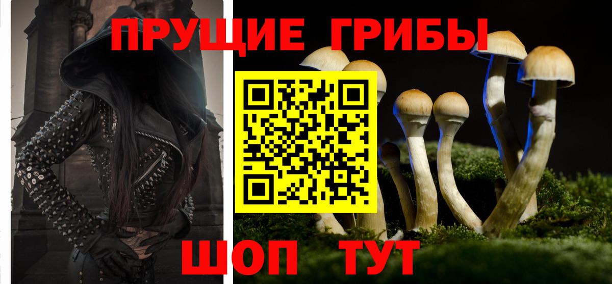 Галлюциногенные грибы MAGIC MUSHROOMS Белогорск